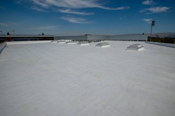 Best Roof Moss and Algae Removal  in Libertyvle, IL