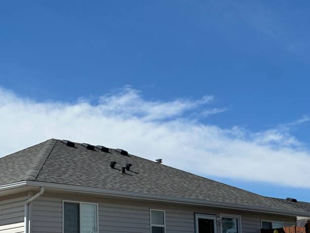 Best Roof Maintenance and Cleaning  in Libertyvle, IL